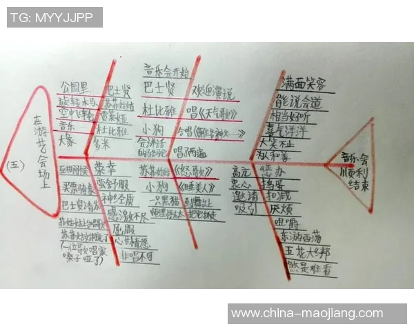 杭州排球队的整体压制解析与战术深度探讨