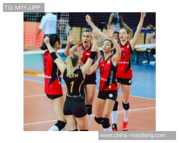 杭州排球队在大满贯赛事中的实力展现与未来发展潜力分析