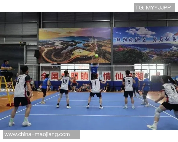 杭州排球队逆袭之路揭秘大师赛特别报道展现拼搏精神与团队力量