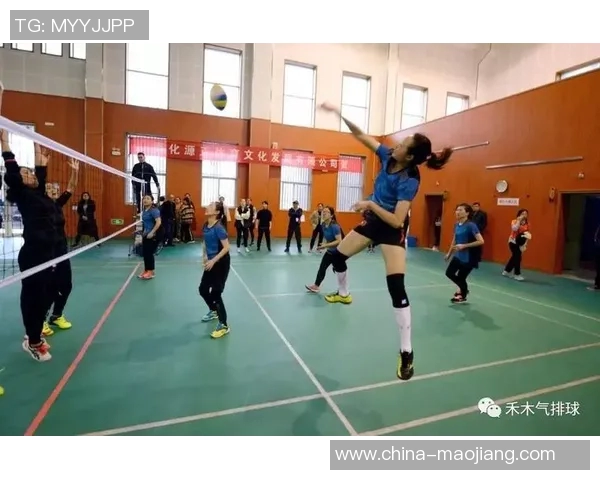 杭州排球队战术创新引领潮流助力排球竞技新高峰