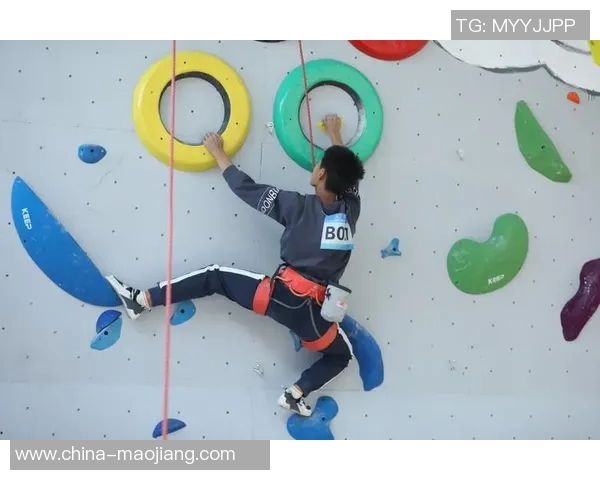 杭州攀岩队实力深度对比分析及未来发展潜力探讨