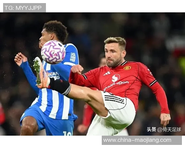 布伦特福德对阵利兹联精彩直播全程回顾与赛后分析