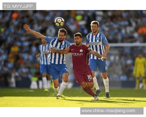 惠灵顿凤凰对阵墨尔本胜利赛事分析及推荐建议