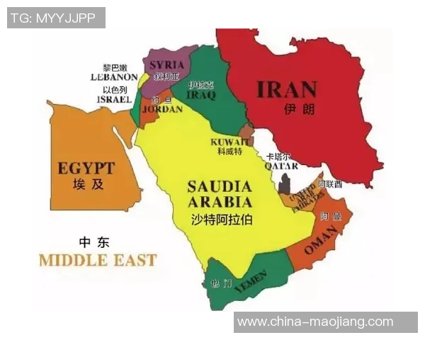 沙特阿联酋激战正酣比赛结果揭晓引发热议