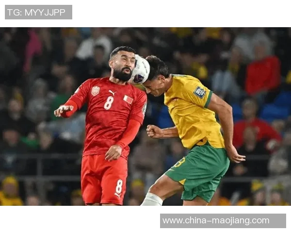 爱尔兰队与格鲁吉亚队激战正酣谁能在这场较量中笑到最后