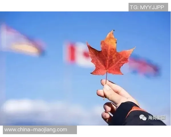 阿青年与阿尔青的对决谁能笑到最后探讨年轻人与老一辈的价值观碰撞 阿青年与阿尔青的对决谁能笑到最后探讨年轻人与老一辈的价值观碰撞