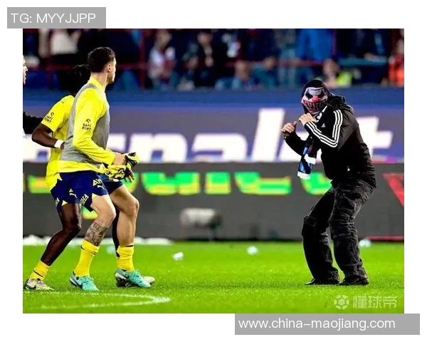 球迷疯狂冲入场内成功抢夺C罗球衣引发热议