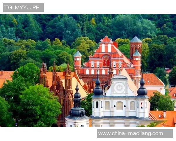 立陶宛与黑山的历史文化对比与发展潜力分析