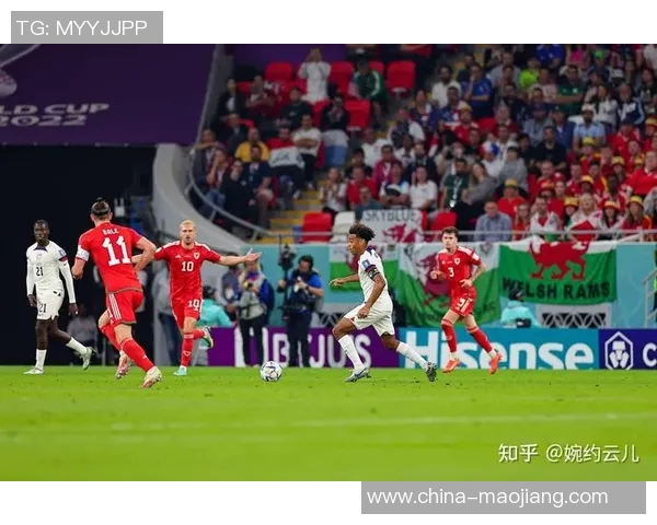 美国20对决卡塔尔20精彩瞬间回顾与赛后分析