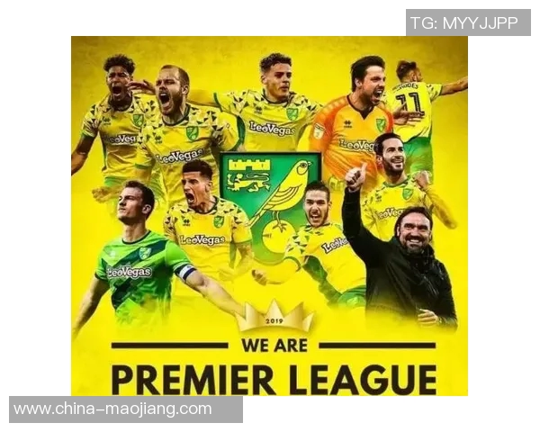 维拉与诺维奇对决分析及胜负推荐，助你把握比赛动态