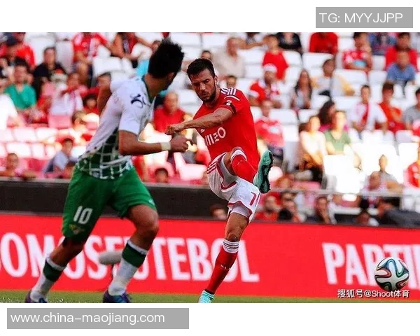 费雷拉对波尔图比赛分析与推荐策略详解