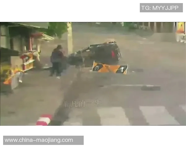 辽宁与广东激战29轮精彩录像回顾全场亮点与精彩瞬间尽在其中