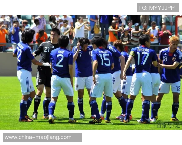 鸟茜砂岩与清水鼓动的对比分析与艺术表现探讨