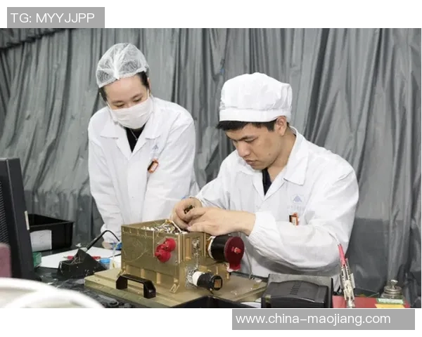 沈梓捷的成长之路：从青涩少年到职场精英的奋斗故事