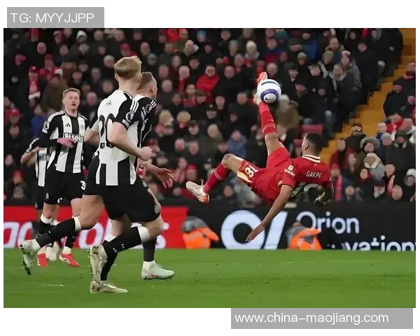 纽卡斯尔对阵利物浦谁能在这场激烈对决中笑到最后