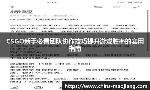 CSGO新手必看团队协作技巧提升游戏胜率的实用指南