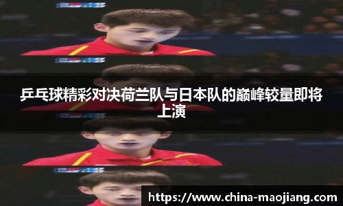 金年会