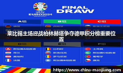莱比锡主场迎战柏林赫塔争夺德甲积分榜重要位置