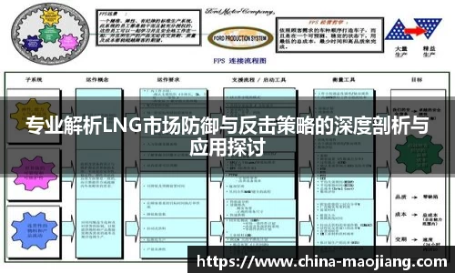 专业解析LNG市场防御与反击策略的深度剖析与应用探讨