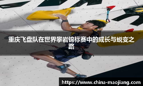 今年会平台入口